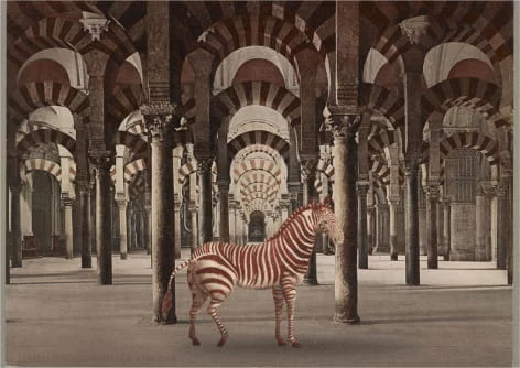 Ilustración de una cebra dentro de la Mezquita de Córdoba
